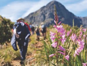 gallery-images-7-1024x469 Harmony Clinic - Rehab Cape Town, Drug Rehab and Private Addiction Rehabilitation Hospital Cape Town