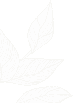 Narcotics Anonymous 4