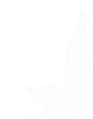 Narcotics Anonymous 5